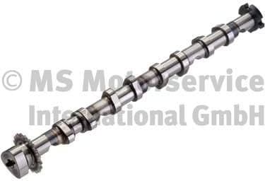 Camshaft 50007586