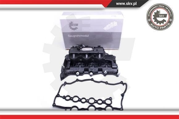 Intake Manifold Module 49SKV031