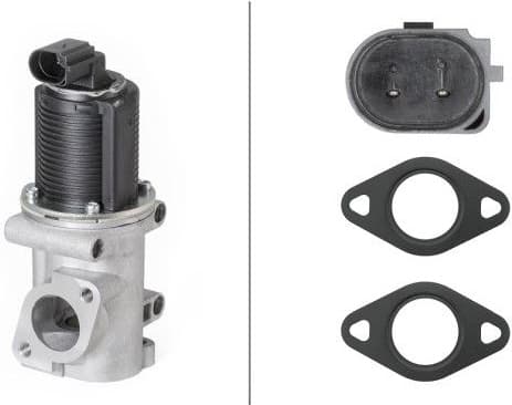 EGR Valve 6NU 010 171-541