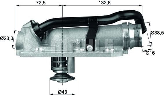 Thermostat, coolant BEHR TM8105