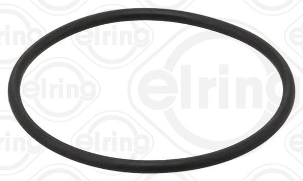 Seal Ring 487.820