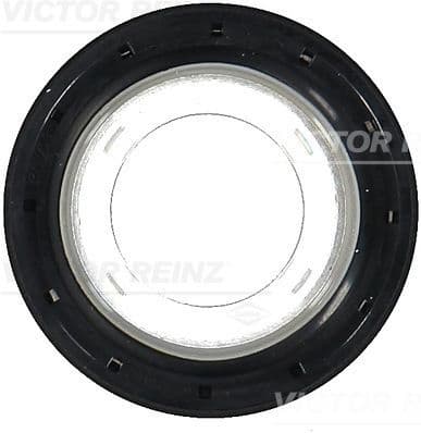 Shaft Seal, crankshaft 81-10552-00