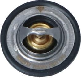 Thermostat, coolant EASY FIT 725089