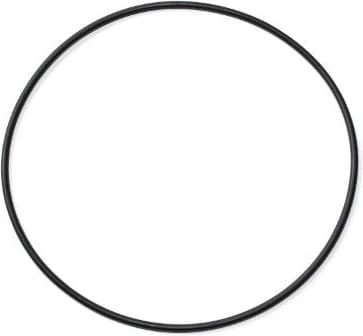 Seal Ring 002.970