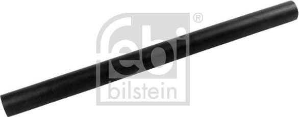 Radiator Hose 172834