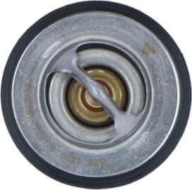 Thermostat, coolant EASY FIT 725176