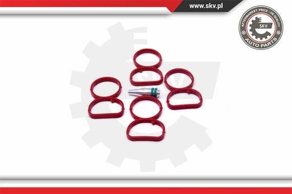 Repair Kit, intake manifold module 49SKV513 - image 2