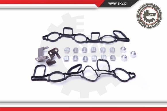 Repair Kit, intake manifold module 49SKV523 - image 2