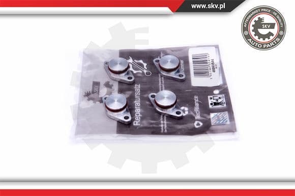Repair Kit, intake manifold module 49SKV544
