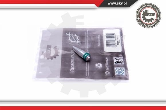 Repair Kit, intake manifold module 49SKV548