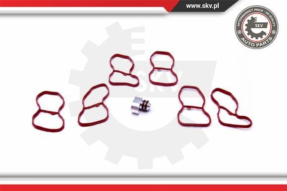 Repair Kit, intake manifold module 49SKV516 - image 2