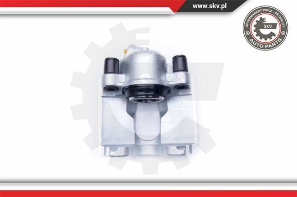 Brake Caliper 42SKV191
