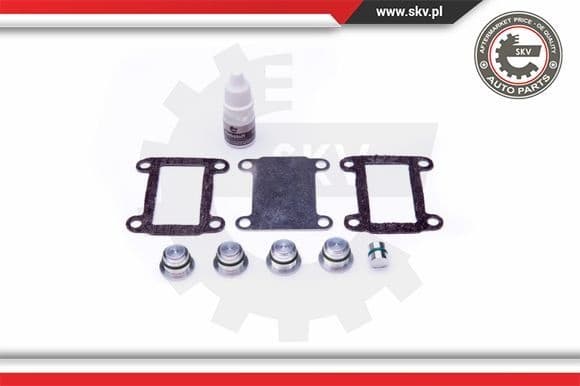 Repair Kit, intake manifold module 49SKV525 - image 2