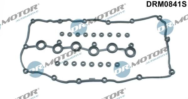 Gasket Set, cylinder head cover DRM0841S