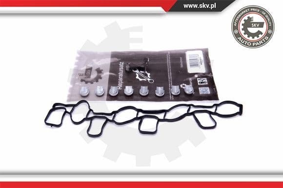 Repair Kit, intake manifold module 49SKV511