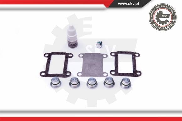 Repair Kit, intake manifold module 49SKV526 - image 2