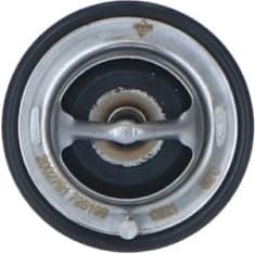 Thermostat, coolant EASY FIT 725199