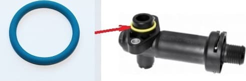 Gasket thermostat 240.670