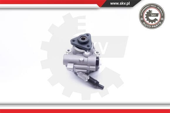 Hydraulic Pump, steering 10SKV243