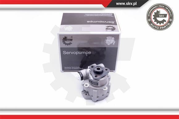 Hydraulic Pump, steering 10SKV249