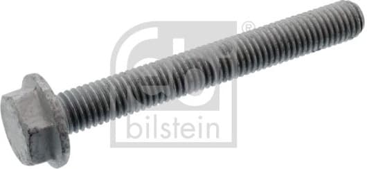 Bolt, control arm 107696