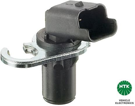 CMN2-A275