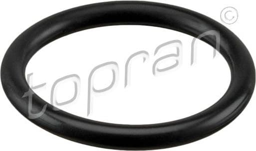 Seal Ring, coolant pipe 114 297