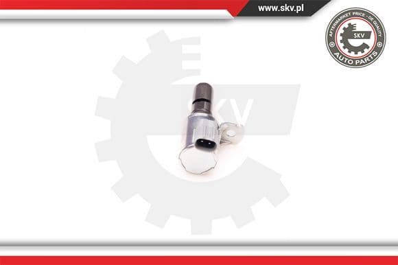 Control Valve, camshaft adjustment 39SKV004