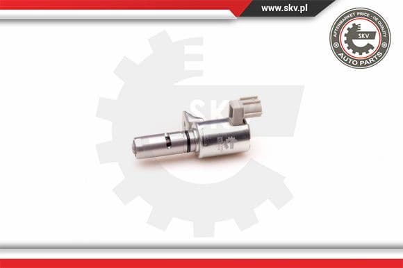 Control Valve, camshaft adjustment 39SKV005