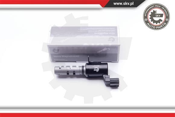 Control Valve, camshaft adjustment 39SKV016