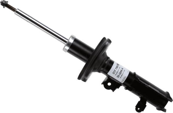 Shock Absorber 317 789