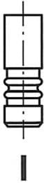 Intake Valve R6464/SNT