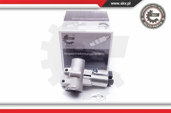 EGR Valve 14SKV186