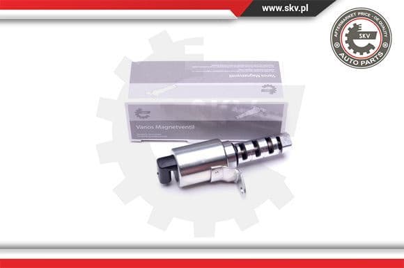 Control Valve, camshaft adjustment 39SKV050