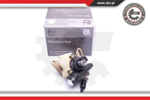 Hydraulic Pump, steering 10SKV082