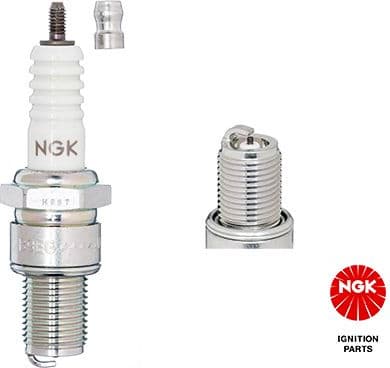 Spark Plug B9EG