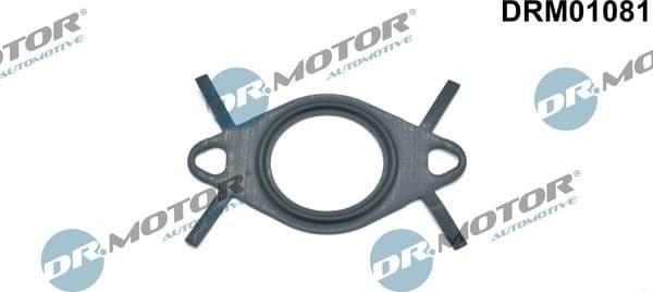 Gasket, EGR valve pipe DRM01081