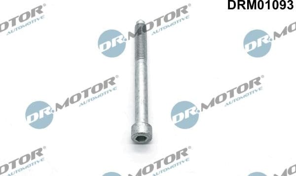 Screw, injection nozzle holder DRM01093