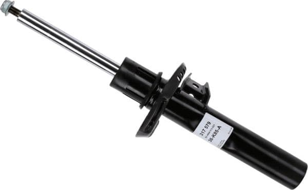 Shock Absorber 317 579