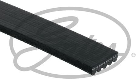 Belt PK-multirib 5PK1123XS - image 2