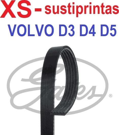 Belt PK-multirib 5PK1123XS