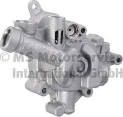 Oil Pump 7.07919.30.0