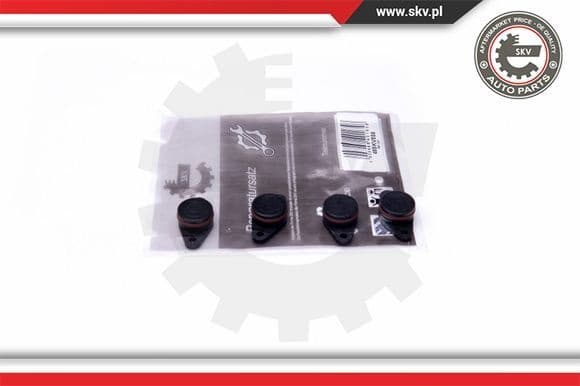 Repair Kit, intake manifold module 49SKV558