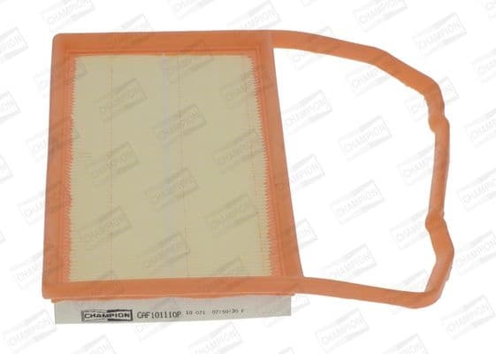 Air Filter CAF101110P
