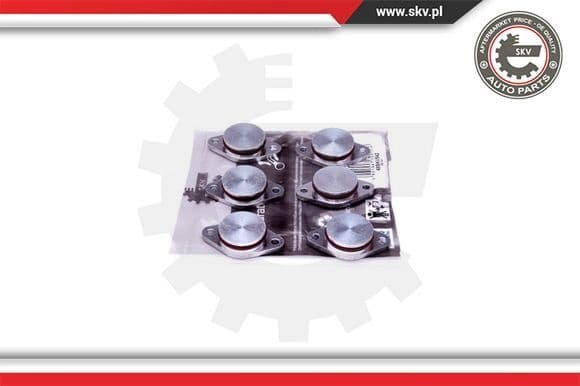Repair Kit, intake manifold module 49SKV542