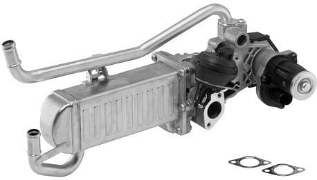  ERG modulis <small>OE-Version/Genuine</small> - image 2