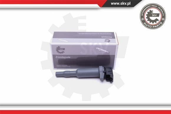 Ignition Coil 03SKV291