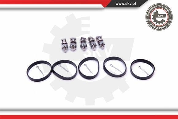 Repair Kit, intake manifold module 49SKV524 - image 2