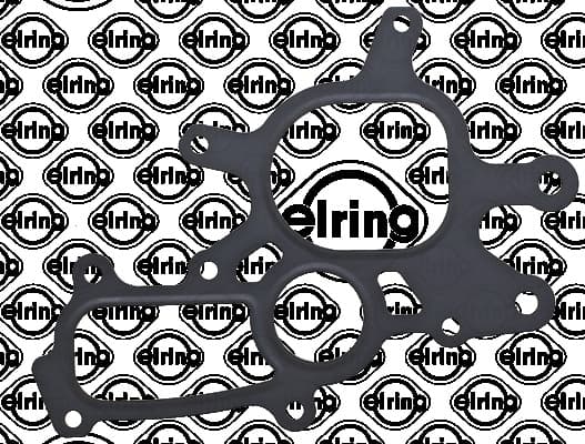 Gasket, water pump 934.700