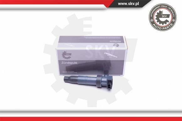 Ignition Coil 03SKV313